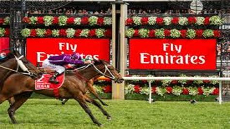 emirates stakes day|VRC Stakes day .